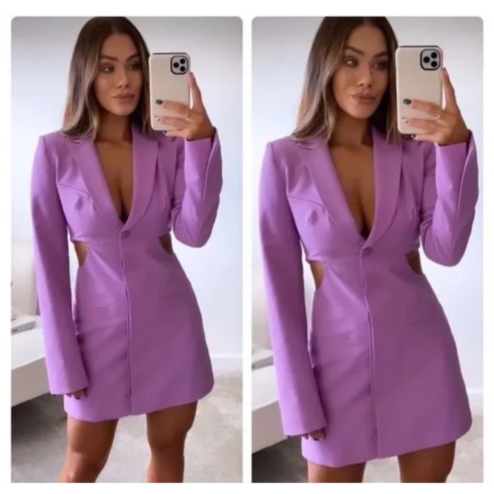 Zara Purple Long Sleeve Dress